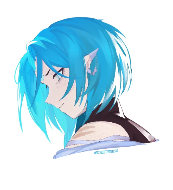 horizonnatsu